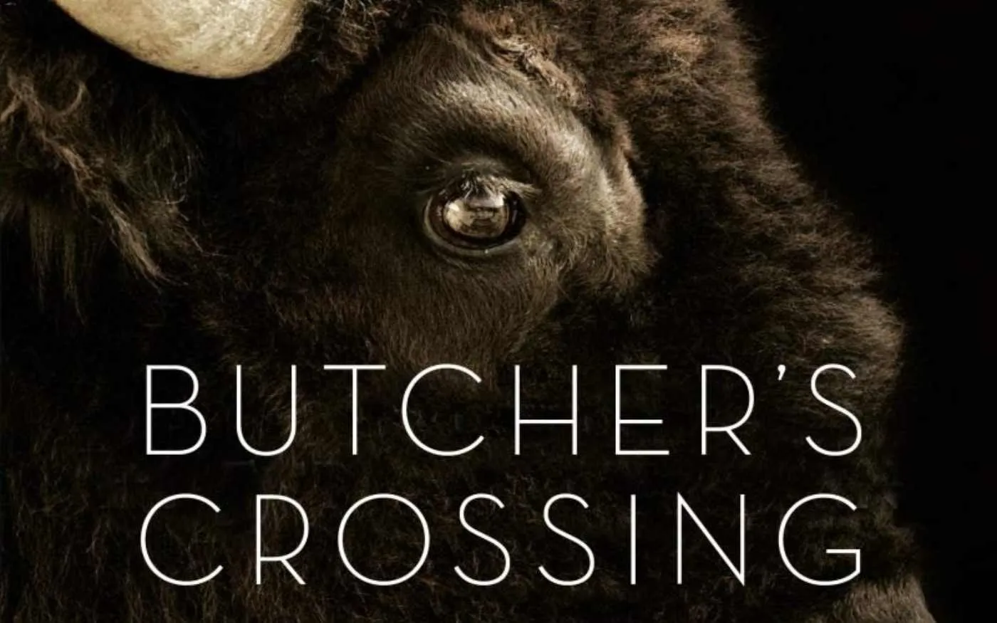 Butcher's Crossing Parents Guide