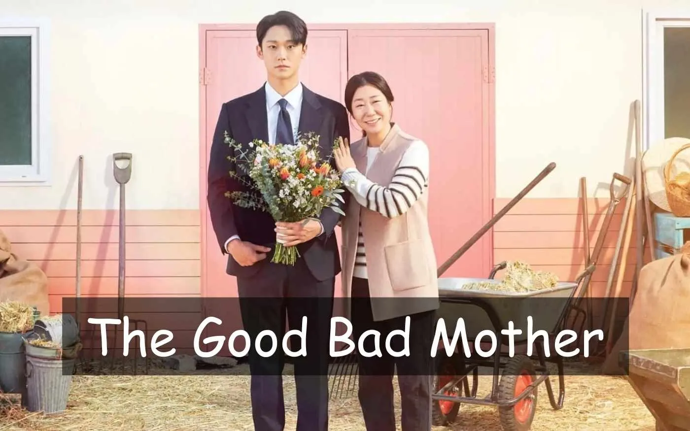 The Good Bad Mother Parents Guide