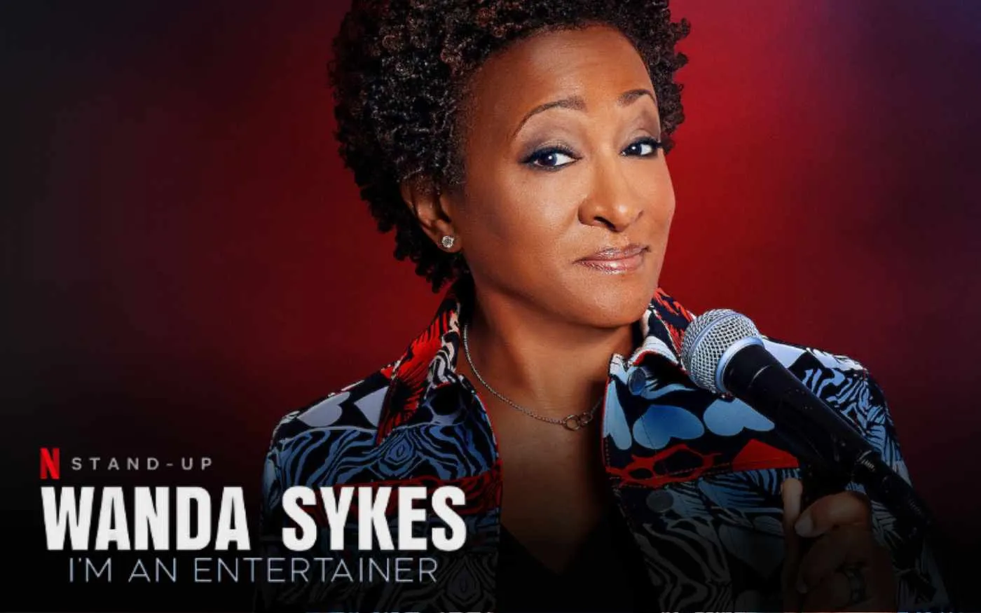 Wanda Sykes: I'm an Entertainer Parents Guide